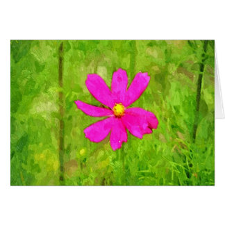 Purple Flower In A Garden