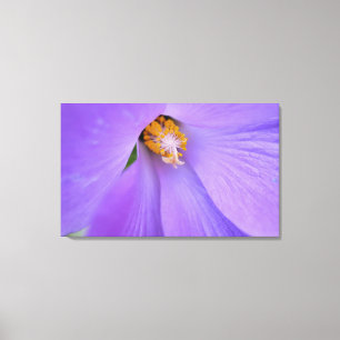 Purple Flower Macro Close Up Photography Wall Art