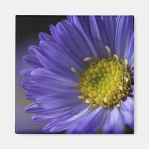 purple flower magnet