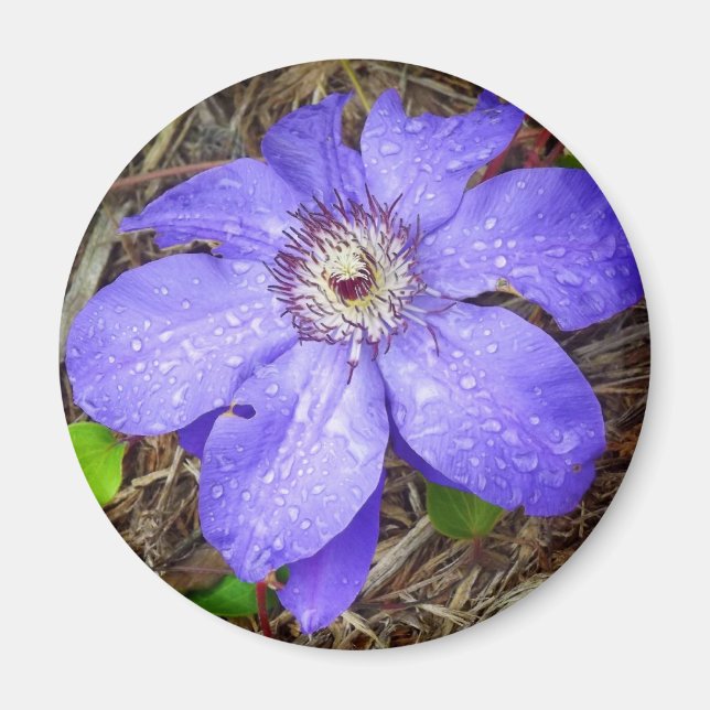Purple Flower Magnet (Front)