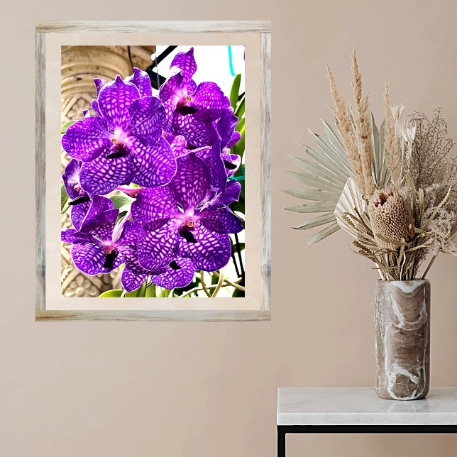 Purple Flower Moon Orchid Tropical Plant Poster (Creator Uploaded)