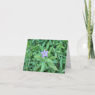 Purple Flower Note Card