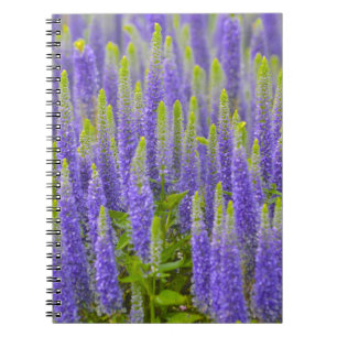 Purple flower Notebook