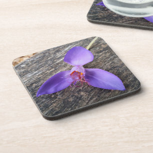 Purple flower on a bench coaster
