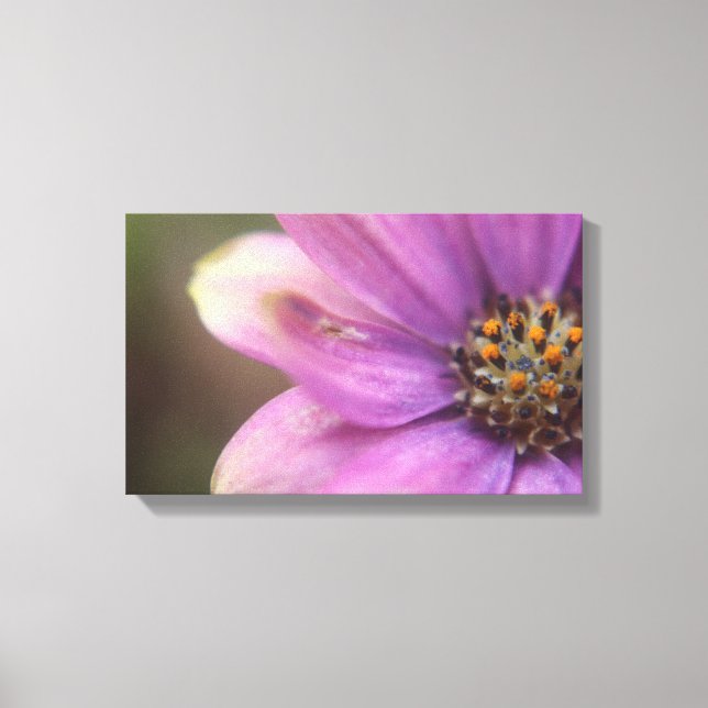 Purple flower photography  canvas print (Front)