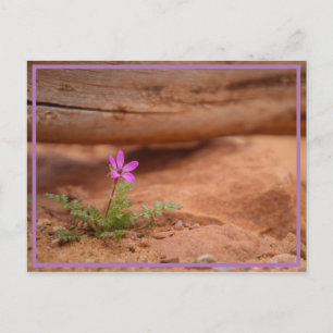 purple flower postcard