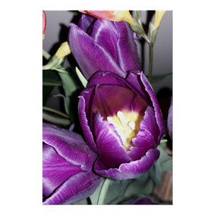 Purple flower poster