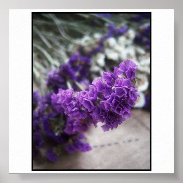 Purple Flower Poster (Front)