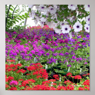 Purple Flower Profusion Print
