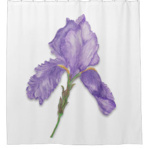 Purple Flower, Single Bearded Iris Shower Curtain