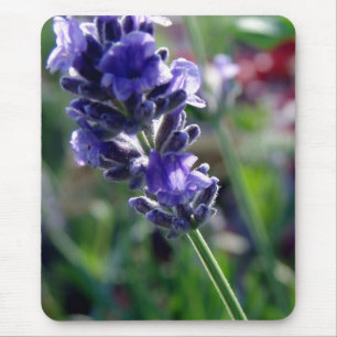 Purple Flower Spike Mouse Mat