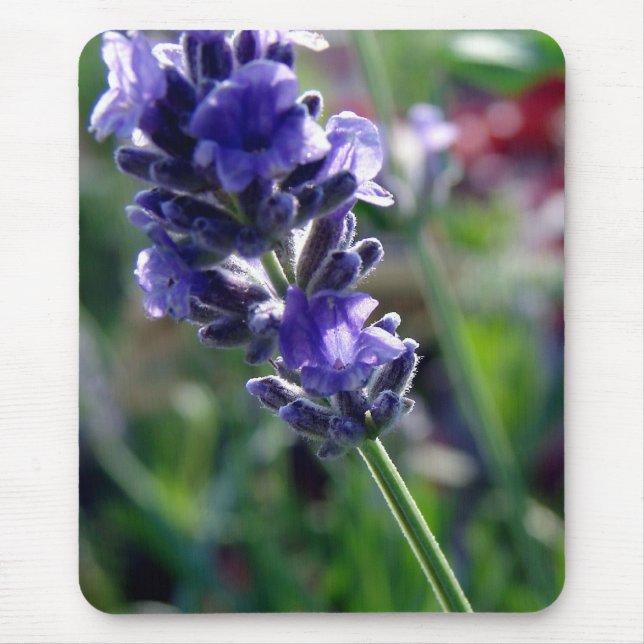 Purple Flower Spike Mouse Mat (Front)