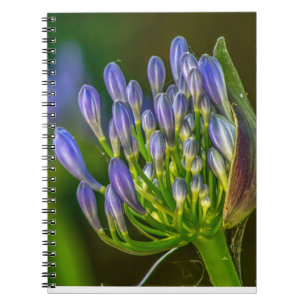 Purple flower Spiral Photo Notebook