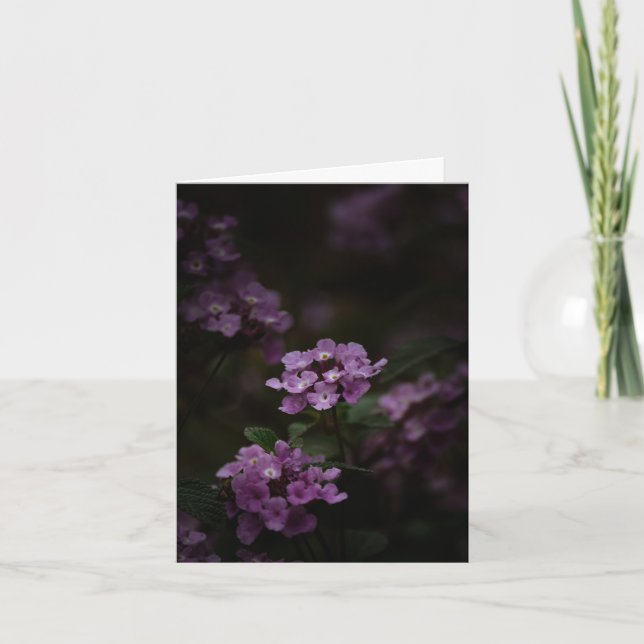 Purple flower, Sympathy Card (Front)