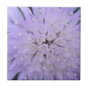 Purple flower tile