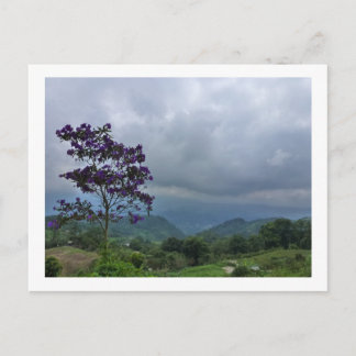 Purple flower tree postcard