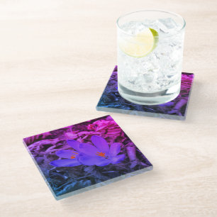 Purple flowering Woodland Crocus Glass Coaster