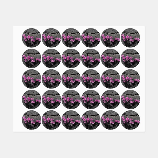 Purple flowers (Sheet)