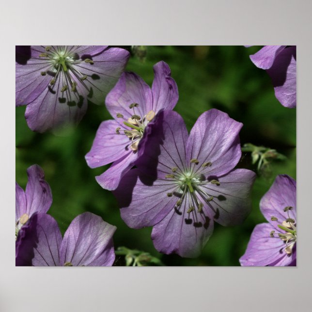 Purple Flowers Abstract Nature Poster (Front)