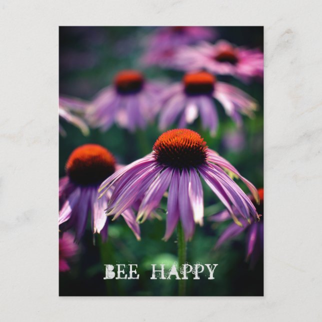 Purple Flowers at RHS Wisley Postcard (Front)