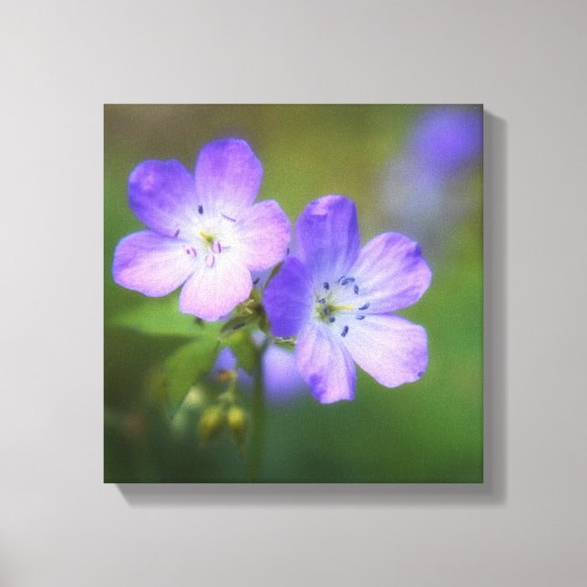 Purple Flowers Canvas Print (Front)