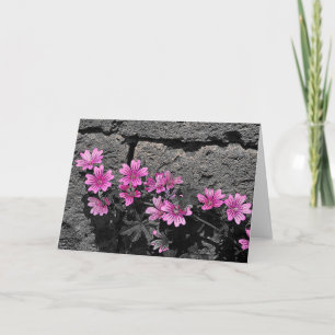 Purple flowers card