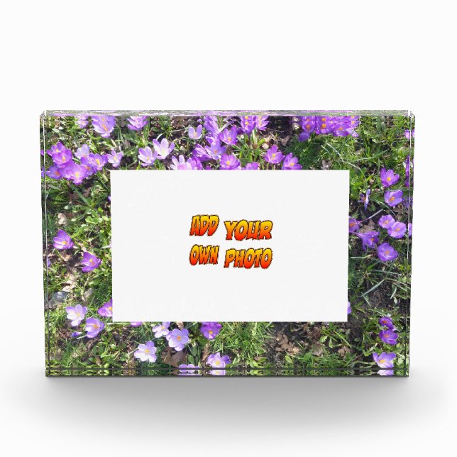 Purple Flowers Crocus Cust. Photo Block (Front)