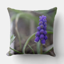 Purple Flowers
