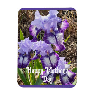 Purple Flowers Floral Iris Irises Mothers Day Card Magnet