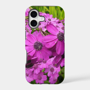Purple Flowers from San Francisco
