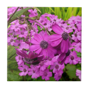 Purple Flowers from San Francisco Tile
