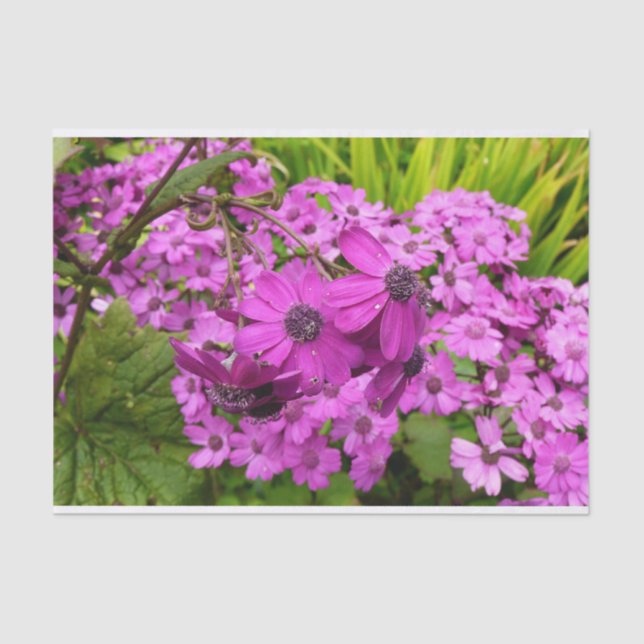 Purple Flowers from San Francisco Tissue Paper (Front)