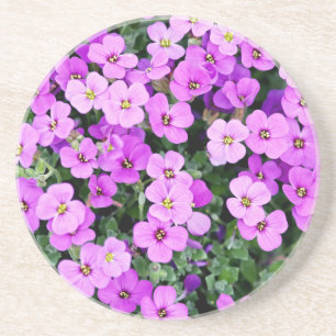 Purple Flowers Garden  Coaster