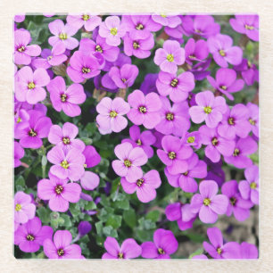 Purple Flowers Garden  Glass Coaster