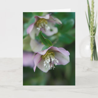 Purple Flowers Greeting Card