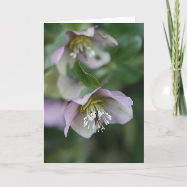 Purple Flowers Greeting Card (Front)