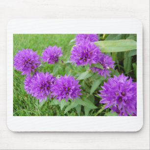 purple flowers mouse mat
