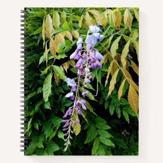 Purple flowers notebook