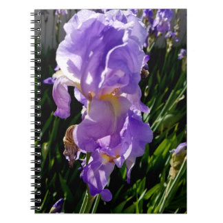 Purple Flowers Notebook