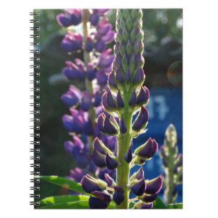 Purple Flowers Photo Notebook