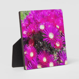 Purple Flowers Plaque