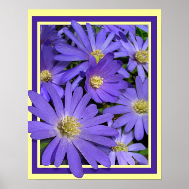 Purple Flowers Print Blue Daisies Art Poster (Front)