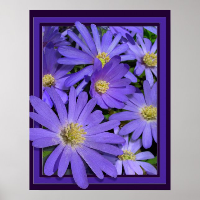 Purple Flowers Print Blue Daisies Art Poster (Front)