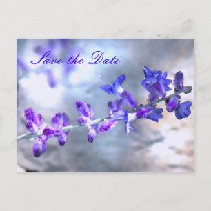 Purple Flowers Save the Date Announcement Postcard