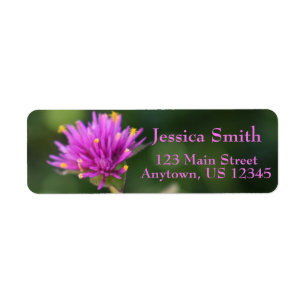Purple Flowers Summer Nature Photography Floral