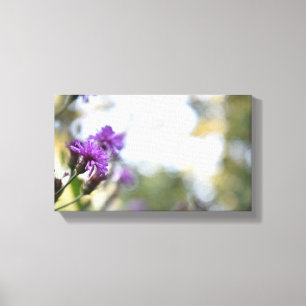 Purple Flowers Summer Nature Photography Floral Canvas Print