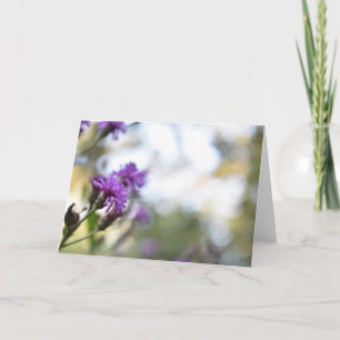 Purple Flowers Summer Nature Photography Floral Card