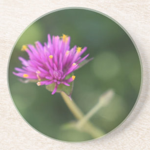 Purple Flowers Summer Nature Photography Floral Coaster