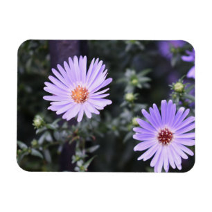 Purple Flowers Summer Nature Photography Floral Magnet