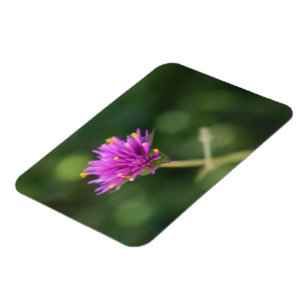 Purple Flowers Summer Nature Photography Floral Magnet